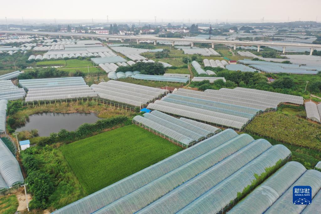 连线机水浒传